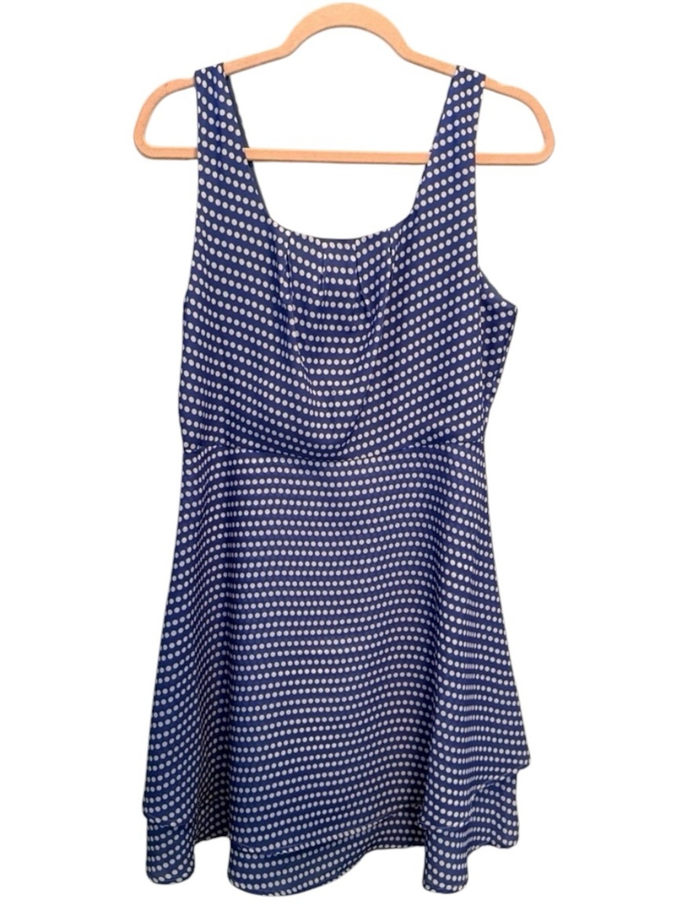 Anthropologie Tulle Blue and White Polka Dot Fit and Flare Dress Large Cottage